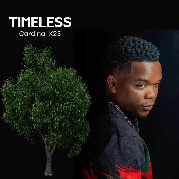 Cardinal X25 – No Condom No Sex